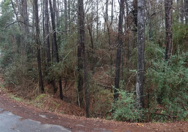 Photo 4 of Land for sale at Tbd S Sunset Dr, Onalaska, TX 77360 | MLS# 11337995 | Listing updated on 2026-01-14