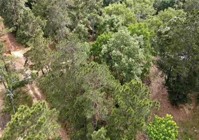 Photo 1 of Land for sale at 0 Keenan Cutoff Rd, Montgomery, TX 77316 | MLS# 84027525 | Listing updated on 2026-08-21