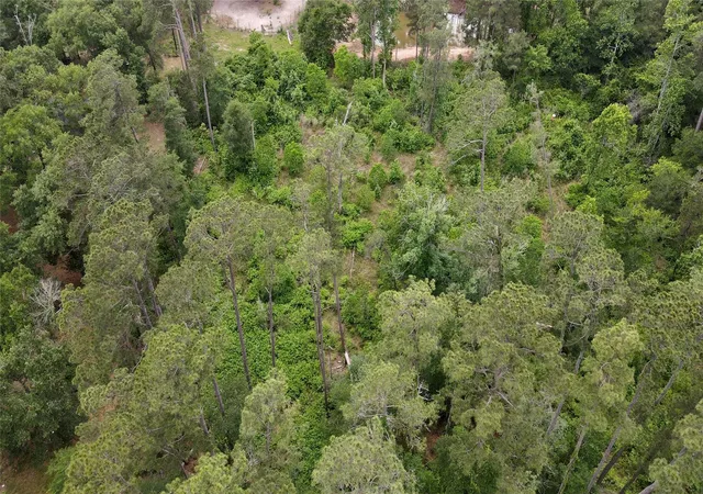 Photo 2 of Land for sale at 0 Keenan Cutoff Rd, Montgomery, TX 77316 | MLS# 84027525 | Listing updated on 2026-08-21