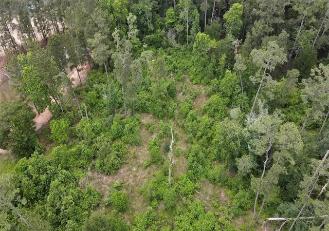 Photo 3 of Land for sale at 0 Keenan Cutoff Rd, Montgomery, TX 77316 | MLS# 84027525 | Listing updated on 2026-08-21