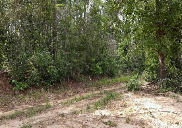 Photo 4 of Land for sale at 0 Keenan Cutoff Rd, Montgomery, TX 77316 | MLS# 84027525 | Listing updated on 2026-08-21