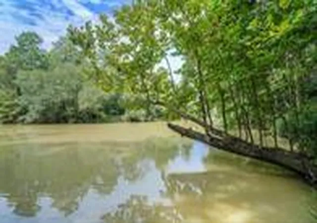 1st image of 24831 River Terrace Rd, Huffman, TX 77336 | MLS# 46781834