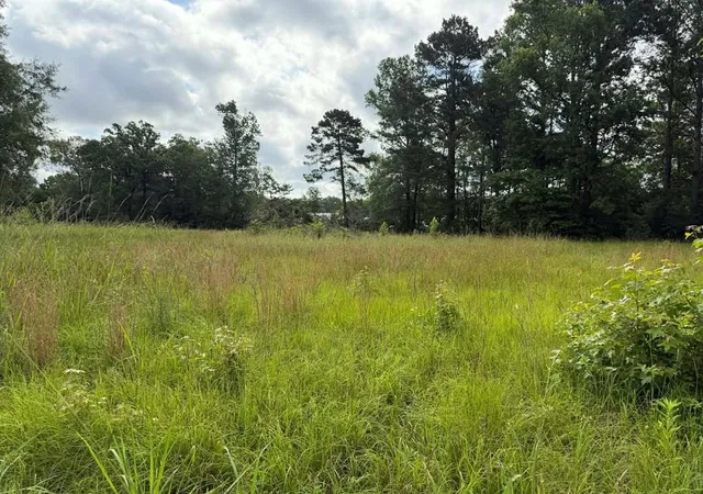 1st image of 194 Lindsley Ln, Huntington, TX 75949 | MLS# 16872224