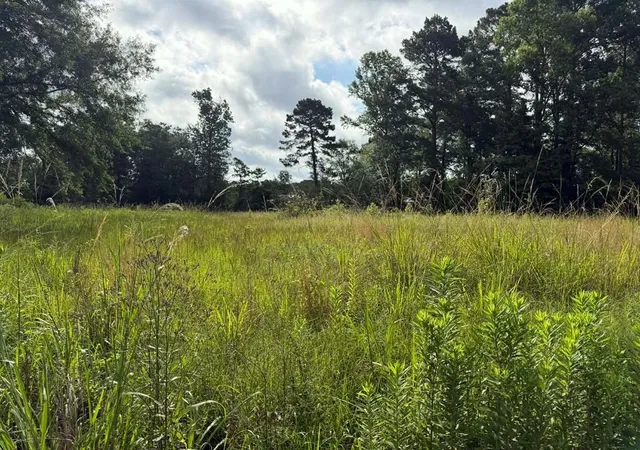 2nd image of 194 Lindsley Ln, Huntington, TX 75949 | MLS# 16872224