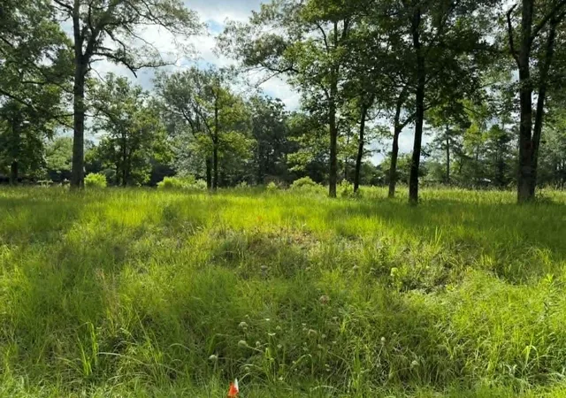 4th image of 194 Lindsley Ln, Huntington, TX 75949 | MLS# 16872224