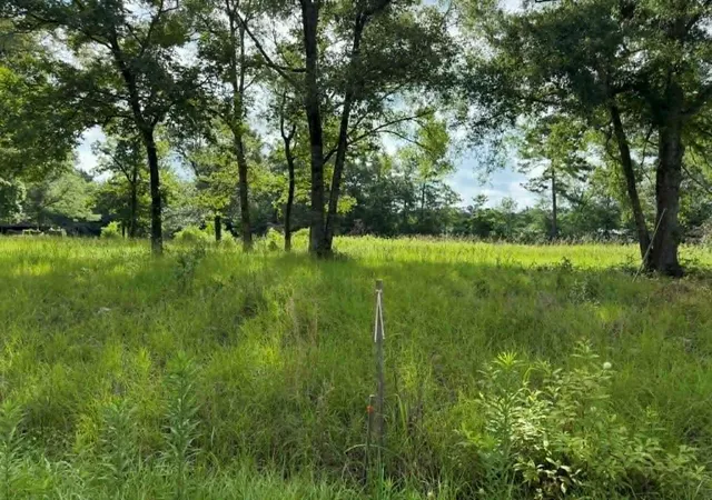 9th image of 194 Lindsley Ln, Huntington, TX 75949 | MLS# 16872224