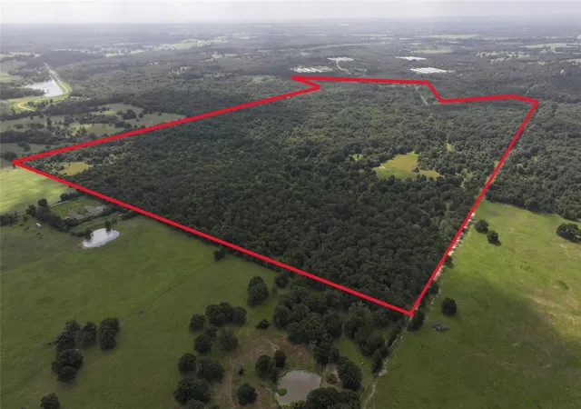 23rd image of Tbd Rose Hill Rd / Pleasant Rd, Bremond, TX 77837 | MLS# 71267532