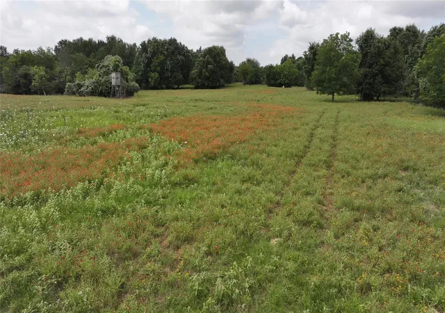 image of Tbd Rose Hill Rd / Pleasant Rd, Bremond, TX 77837 | MLS# 71267532
