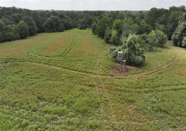 image of Tbd Rose Hill Rd / Pleasant Rd, Bremond, TX 77837 | MLS# 71267532