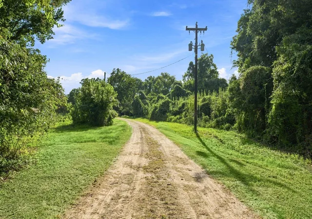 Photo 4 of Land for sale at 435 River Rd S, Livingston, TX 77351 | MLS# 19767175 | Listing updated on 2026-08-03