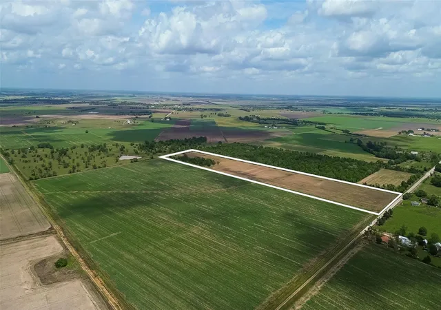 image of 0 Walker Rd, Beasley, TX 77417 | MLS# 77578092