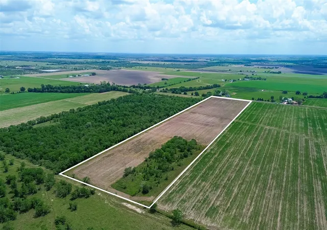 image of 0 Walker Rd, Beasley, TX 77417 | MLS# 77578092
