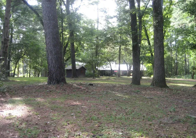 3rd image of 4759 County Road 1655, Grapeland, TX 75844 | MLS# 43502964