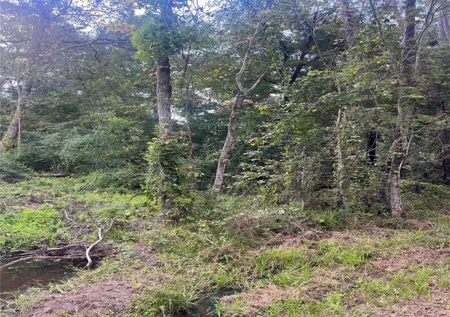 Land for sale at 13181 Royal Springs Rd, Conroe, TX 77303 | MLS# 95947615