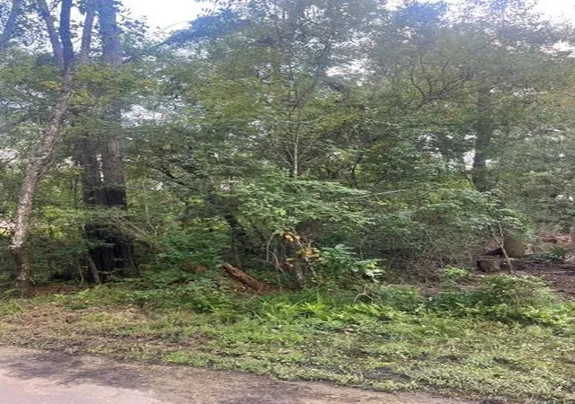 Photo 1 of Land for sale at 13181 Royal Springs Rd, Conroe, TX 77303 | MLS# 95947615 | Listing updated on 2025-12-11