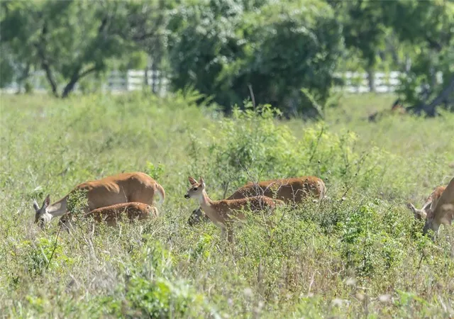 Photo 3 of Land for sale at 001 Steele Rd, Highlands, TX 77562 | MLS# 57848303 | Listing updated on 2026-08-26