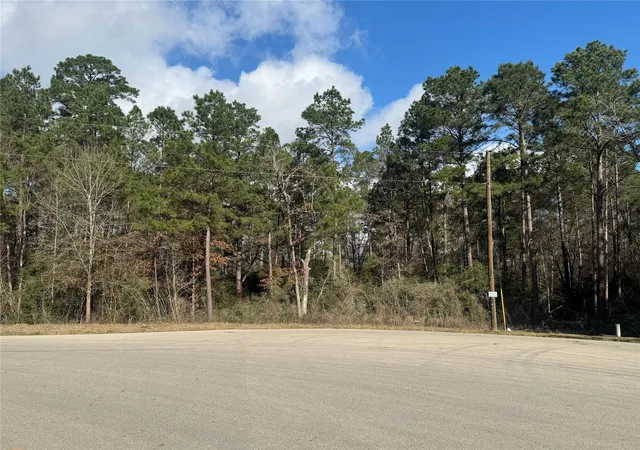 12th image of 67 21 13 Bighorn Rd, New Waverly, TX 77358 | MLS# 95331688