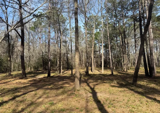 1st image of 67 21 13 Bighorn Rd, New Waverly, TX 77358 | MLS# 95331688
