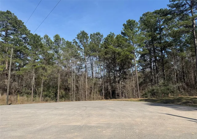 2nd image of 67 21 13 Bighorn Rd, New Waverly, TX 77358 | MLS# 95331688