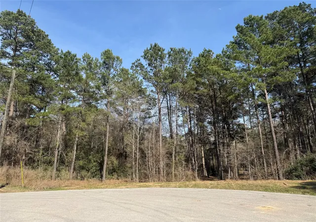 3rd image of 67-21-13 Bighorn Rd, New Waverly, TX 77358 | MLS# 95331688