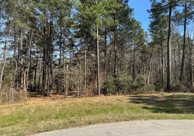 4th image of 67-21-13 Bighorn Rd, New Waverly, TX 77358 | MLS# 95331688