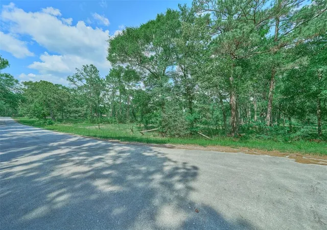 Land for sale at 27592 S Log Cabin Rd, Montgomery, TX 77356 | MLS# 34568205
