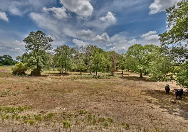 Homes for sale in Brenham, TX | 0 Mt Vernon Rd, Brenham, TX 77833 | MLS# 68142155