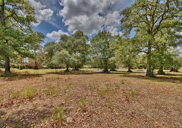 Homes for sale in Brenham, TX | 0 Mt Vernon Rd, Brenham, TX 77833 | MLS# 68142155