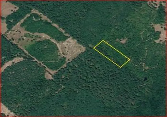 1st image of 0 County Road 1655, Grapeland, TX 75835 | MLS# 2906774