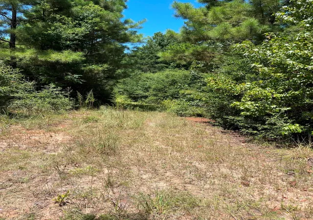 Photo 3 of Land for sale at 0 County Rd 1655, Grapeland, TX 75835 | MLS# 2906774 | Listing updated on 2026-08-18
