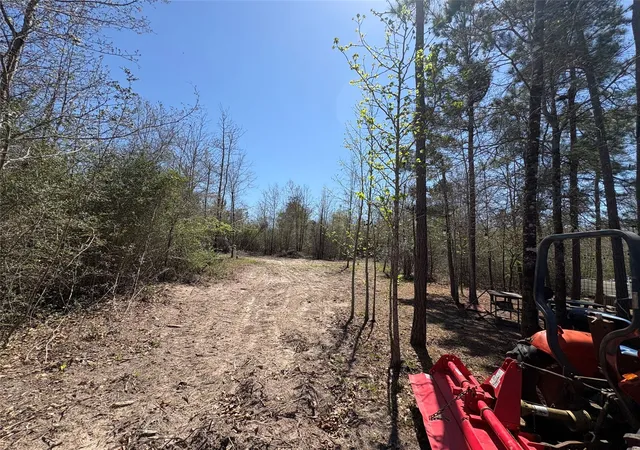 Homes for sale in Lovelady, TX | 00 County Road 4180, Lovelady, TX 75851 | MLS# 68380171