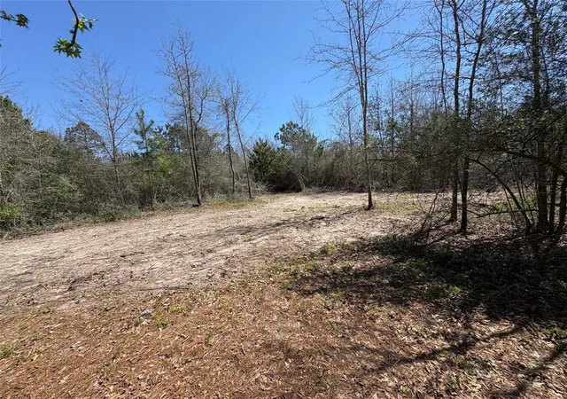 Homes for sale in Lovelady, TX | 00 County Road 4180, Lovelady, TX 75851 | MLS# 68380171