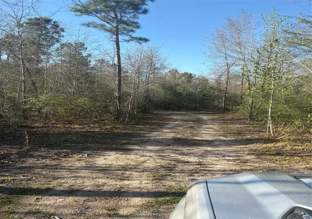 Homes for sale in Lovelady, TX | 00 County Road 4180, Lovelady, TX 75851 | MLS# 68380171