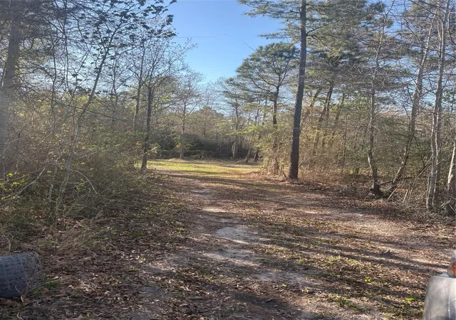 Homes for sale in Lovelady, TX | 00 County Road 4180, Lovelady, TX 75851 | MLS# 68380171