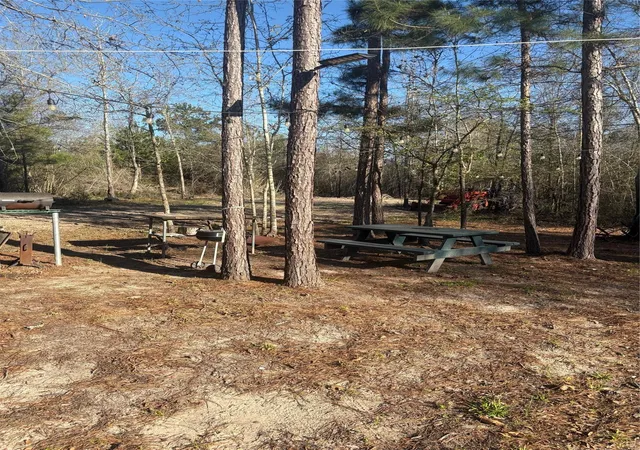 Homes for sale in Lovelady, TX | 00 County Road 4180, Lovelady, TX 75851 | MLS# 68380171