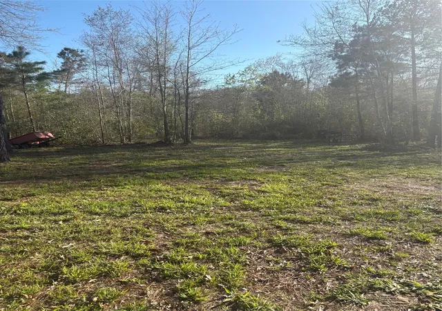Homes for sale in Lovelady, TX | 00 County Road 4180, Lovelady, TX 75851 | MLS# 68380171