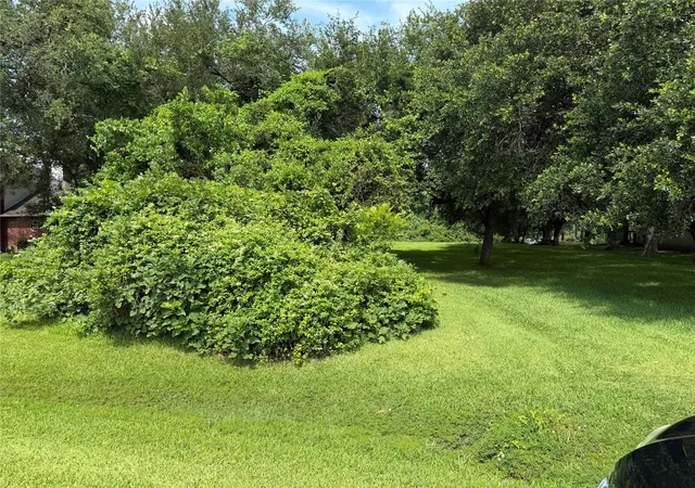8th image of 4907 Diamond Spring Dr Dr, Missouri City, TX 77459 | MLS# 78978180