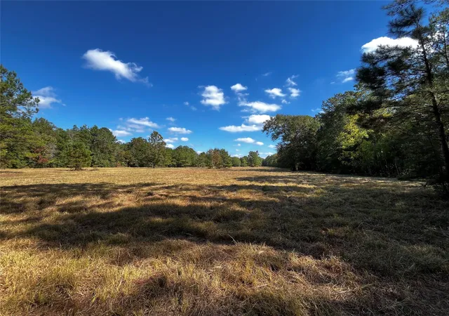Photo 1 of Land for sale at 0 County Rd 2314, Dayton, TX 77535 | MLS# 51301479 | Listing updated on 2026-09-08