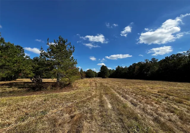Photo 2 of Land for sale at 0 County Rd 2314, Dayton, TX 77535 | MLS# 51301479 | Listing updated on 2026-09-08