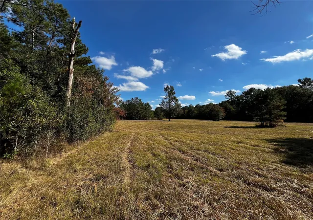 Photo 2 of Land for sale at 0 County Rd 2314, Dayton, TX 77535 | MLS# 51301479 | Listing updated on 2026-09-08