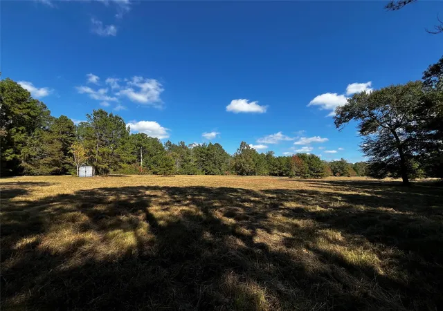 Photo 3 of Land for sale at 0 County Rd 2314, Dayton, TX 77535 | MLS# 51301479 | Listing updated on 2026-09-08