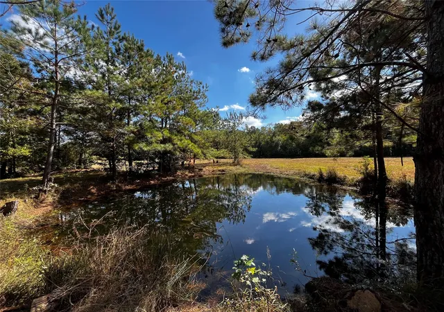 Photo 4 of Land for sale at 0 County Rd 2314, Dayton, TX 77535 | MLS# 51301479 | Listing updated on 2026-09-08