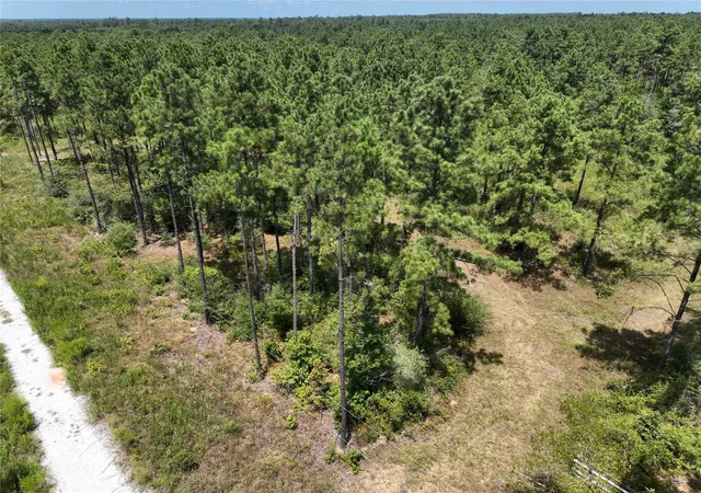 Photo 2 of Land for sale at 1 Richardson Road East, Livingston, TX 77351 | MLS# 85640754 | Listing updated on 2026-08-21