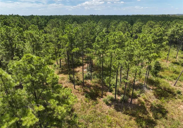 Photo 3 of Land for sale at 1 Richardson Road East, Livingston, TX 77351 | MLS# 85640754 | Listing updated on 2026-08-21