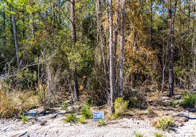 4th image of 029 Sportsman Retreat Rd, Onalaska, TX 77360 | MLS# 14343276