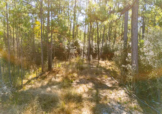 5th image of 029 Sportsman Retreat Rd, Onalaska, TX 77360 | MLS# 14343276