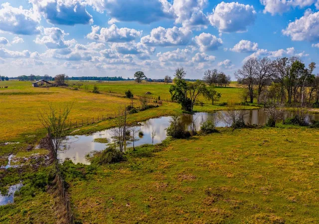 Homes for sale in Troup, TX | 3588 County Road 4608, Troup, TX 75789 | MLS# 32906375