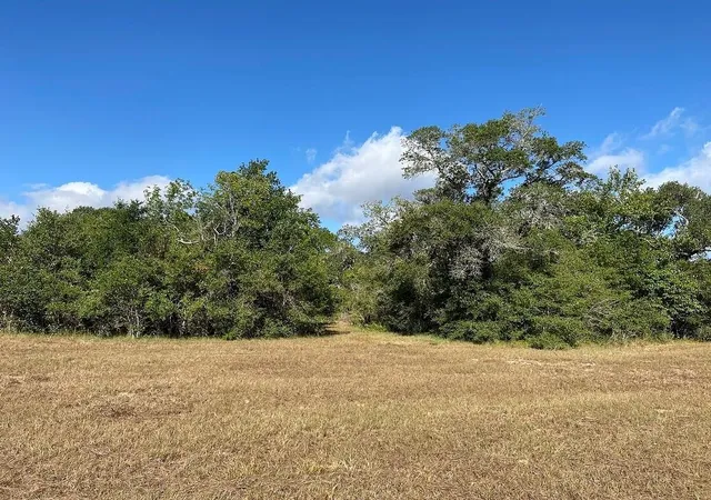 Homes for sale in Garwood, TX | 000 Loose Cow Rd, Garwood, TX 77442 | MLS# 59387464