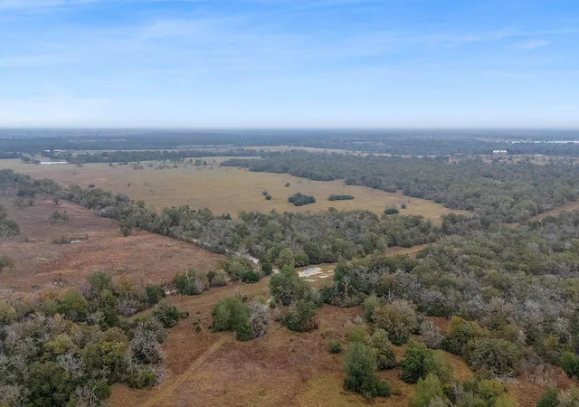 Homes for sale in Bedias, TX | Cr 123 - Tract 2, Bedias, TX 77831 | MLS# 12836620