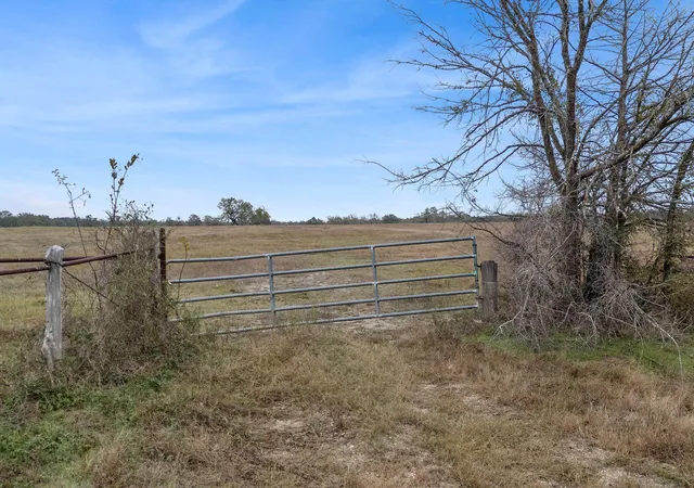 Homes for sale in Bedias, TX | Cr 123 - Tract 2, Bedias, TX 77831 | MLS# 12836620